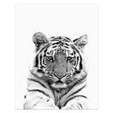 Animal Portrait Canvas