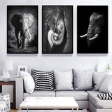 Baby Elephant Homecoming Affection Canvas