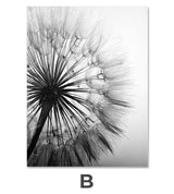Dandelion Canvas