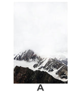 Monochrome Zebra Canvas