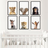 Baby Animal Portraits Canvas