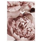 Soft Peony Floral Canvas