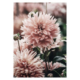 Soft Peony Floral Canvas