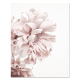 Shades Of Pink Medley Canvas