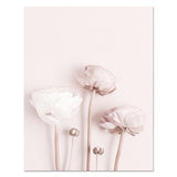 Shades Of Pink Medley Canvas