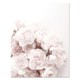 Shades Of Pink Medley Canvas