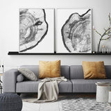 Tree Rings Noir Canvas