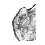 Tree Rings Noir Canvas