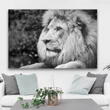 Majestic Beasts Canvas