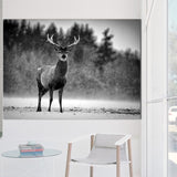 Majestic Beasts Canvas