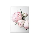 Peony Pink Flower Canvas