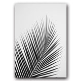 Palm Leaves Canvas