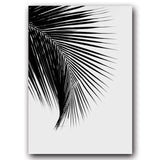 Palm Leaves Canvas