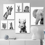Animal Portrait Canvas