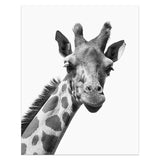 Animal Portrait Canvas