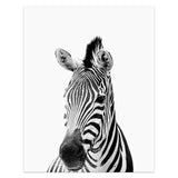 Animal Portrait Canvas