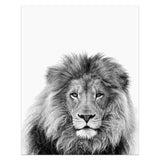 Animal Portrait Canvas