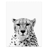 Animal Portrait Canvas