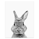 Animal Portrait Canvas
