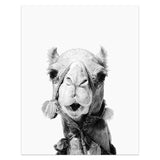 Animal Portrait Canvas