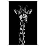 Noir Animal Portraits Canvas