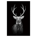 Noir Animal Portraits Canvas