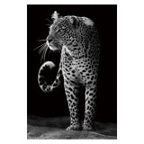 Noir Animal Portraits Canvas