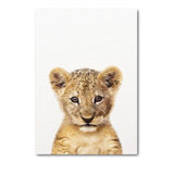 Baby Animal Portraits Canvas