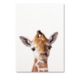 Baby Animal Portraits Canvas