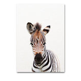 Baby Animal Portraits Canvas