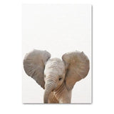 Baby Animal Portraits Canvas