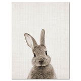 Peter Rabbit Canvas