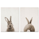 Peter Rabbit Canvas