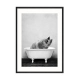 Baby Animals In Bathtub Canvas