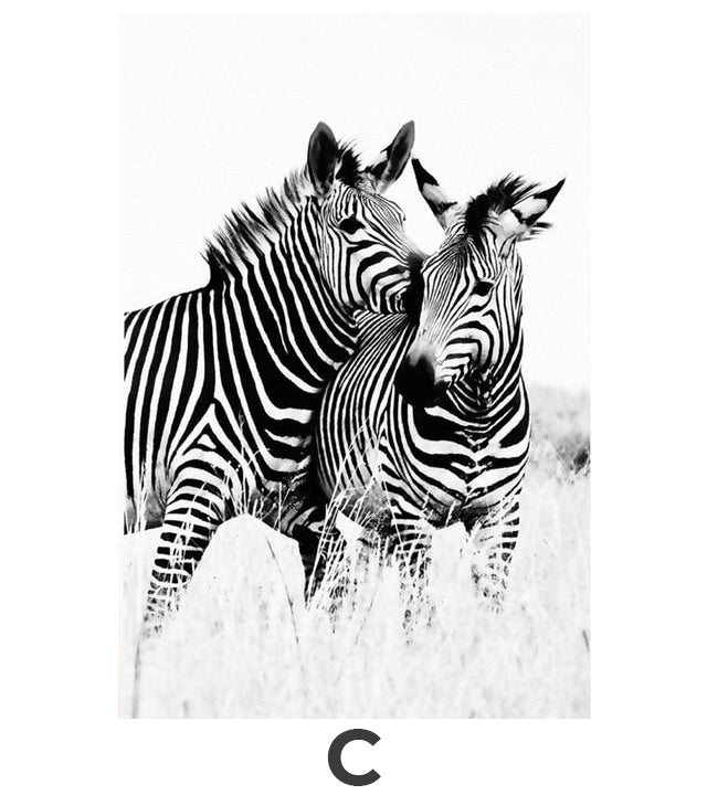 Monochrome Zebra Canvas