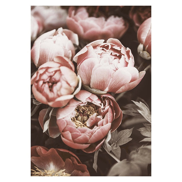 Soft Peony Floral Canvas