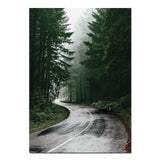 Forest Road Trip Canvas