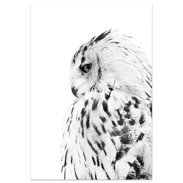 Horned Owl Canvas